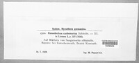Image Associated With the Occurence